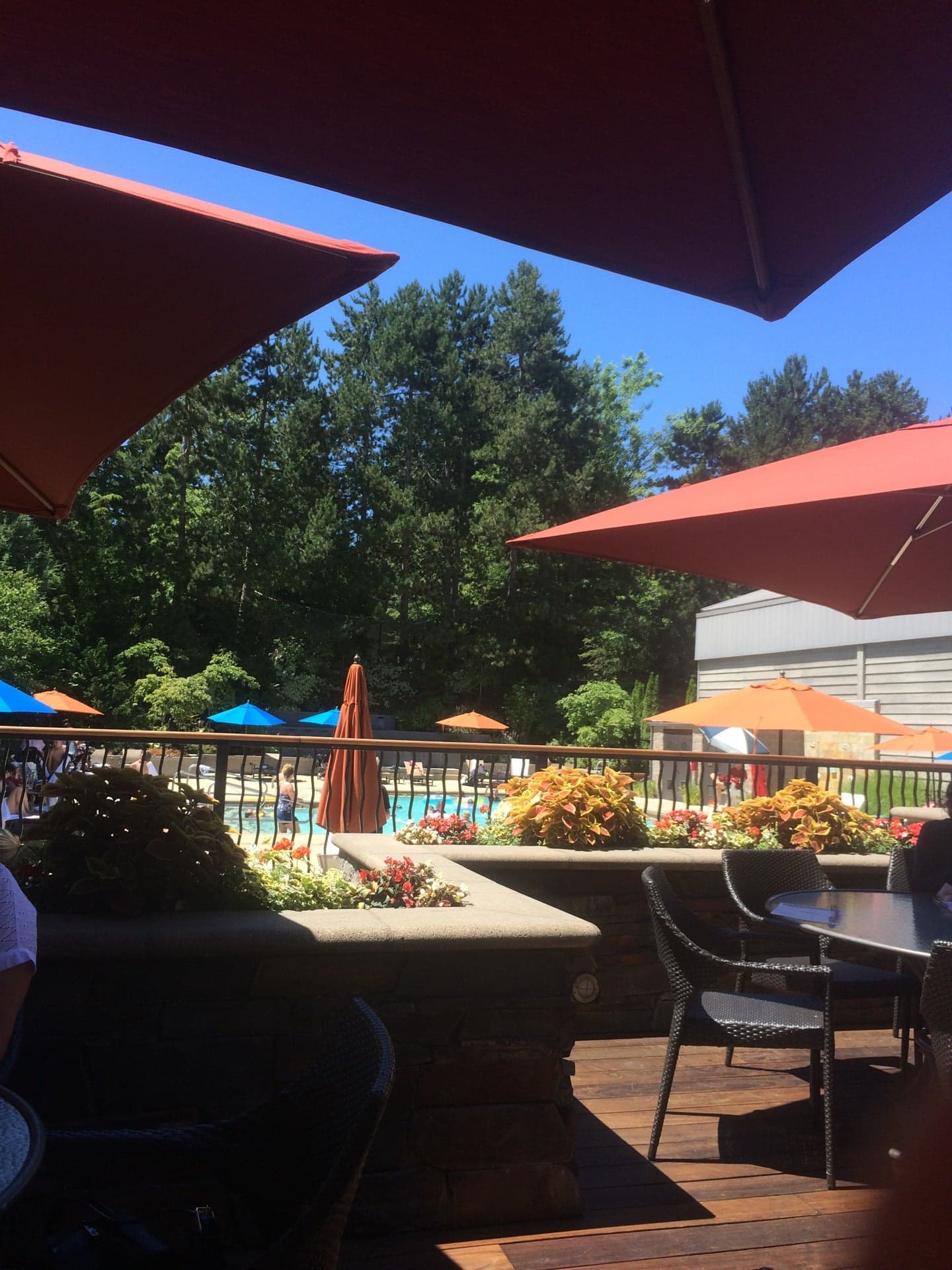 3d9f85c2-477f-405c-86ba-3f1e487bd443