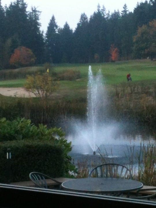 1746703e-436b-4a40-a6b1-560a1add9a56