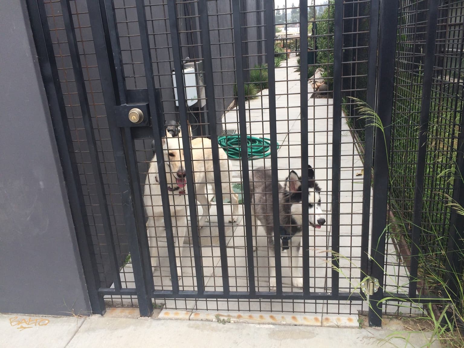 9541cbee-9b9a-4aad-82c8-bf3216c03882