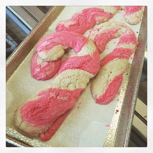 a03eecc5-26fe-4cec-8105-a2bf0ef855e5