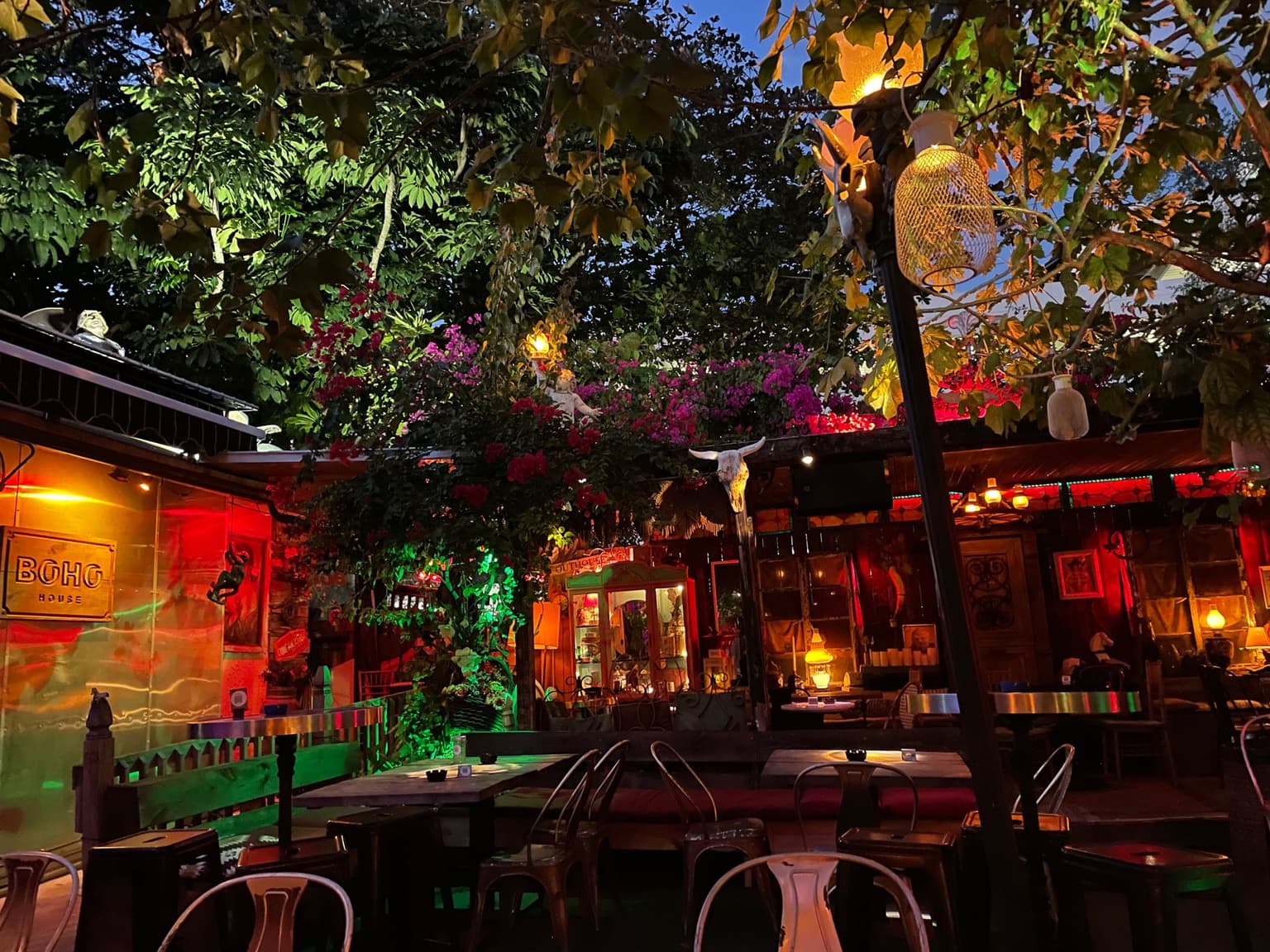 8b51e2ac-7925-49e3-9160-bace8162d934