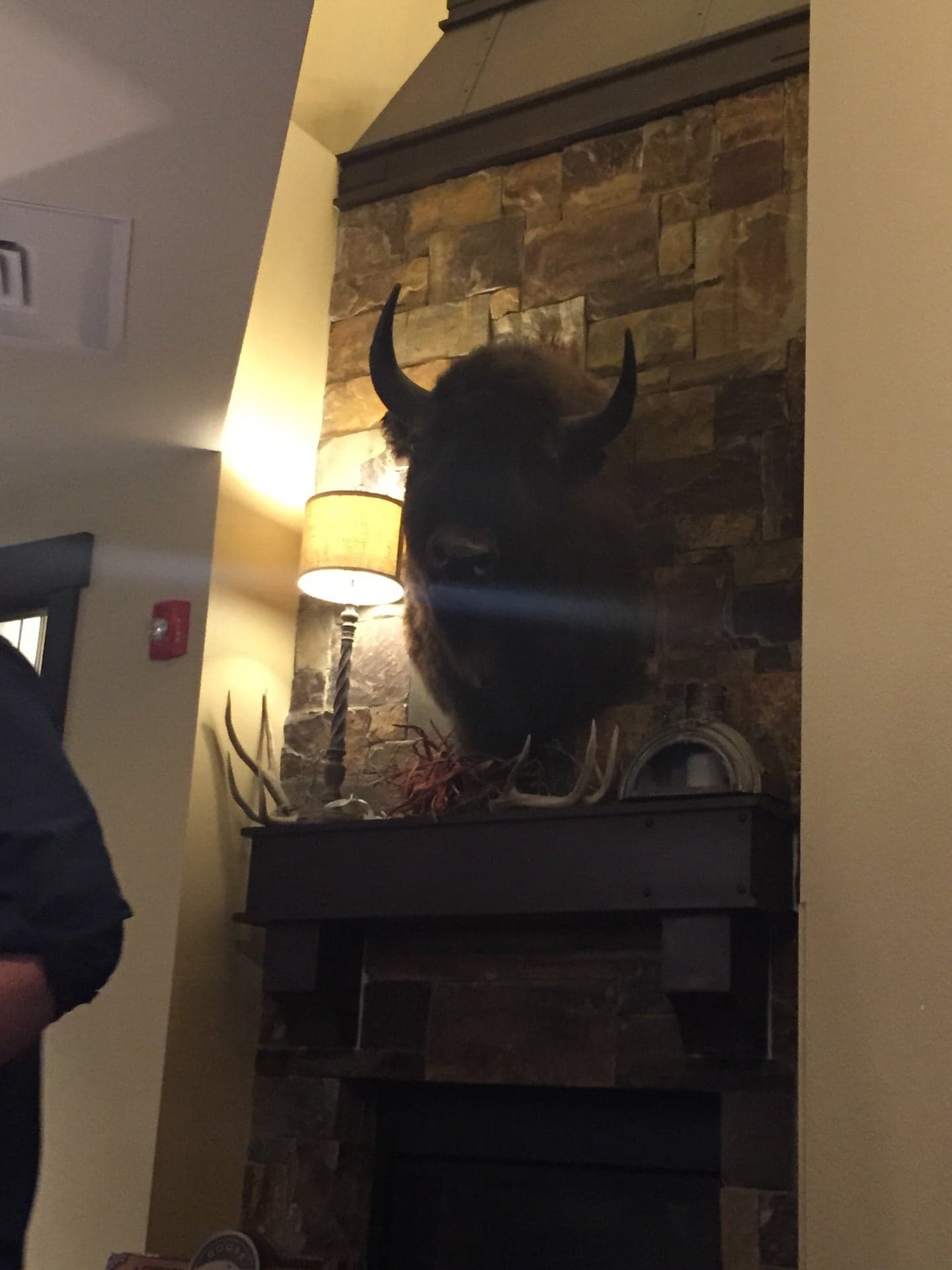 6a700608-9ebe-42dc-869d-b47868626b8f