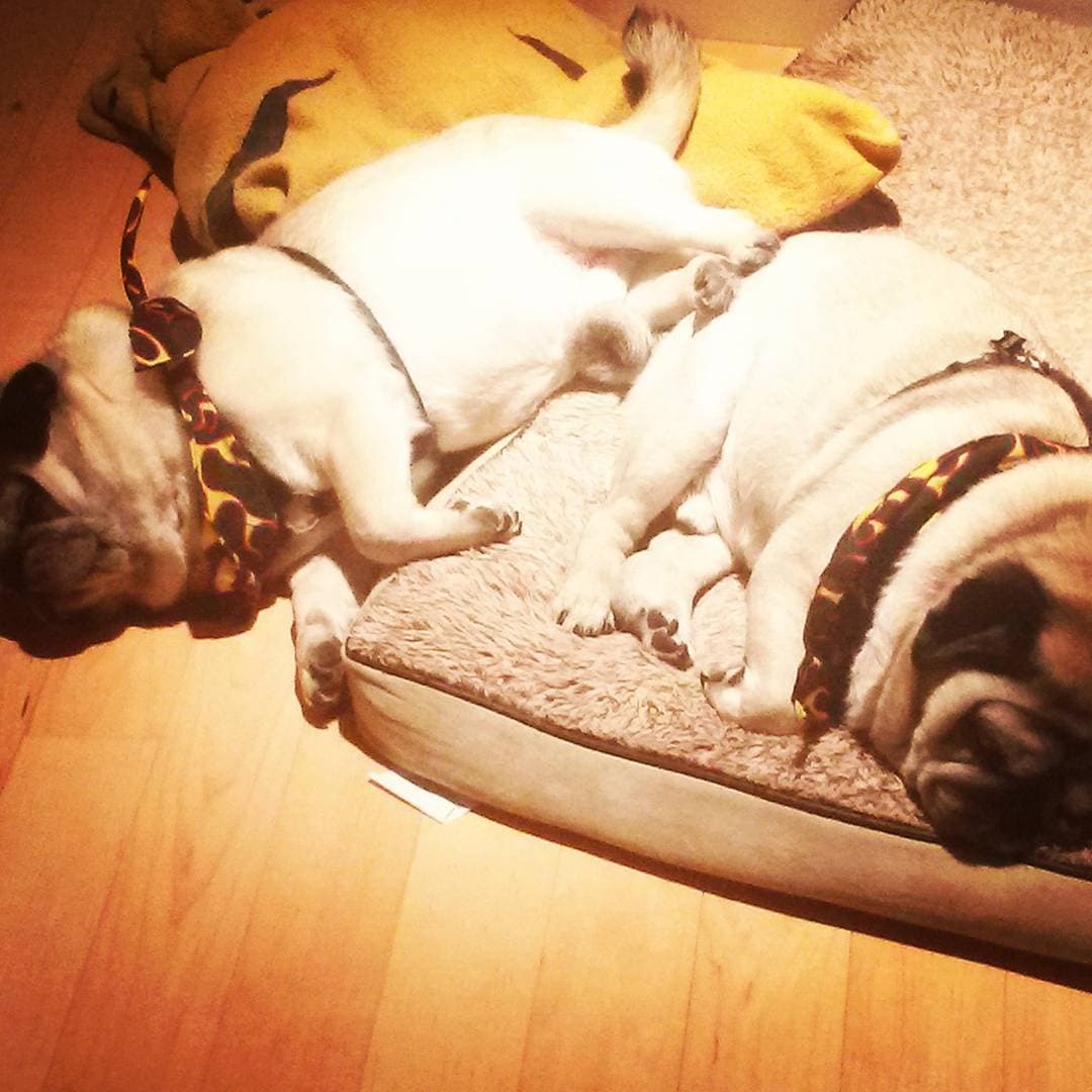 645b449a-e718-456e-b8f1-a40e4703a2ba