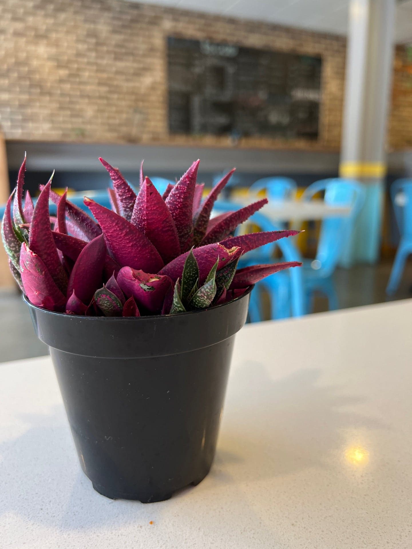 310d2bde-f61a-4a46-8347-246c6dfd1648