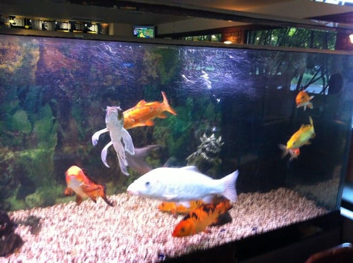 fb2b9a5b-fb6a-4a79-a34f-0940ef28e2b8