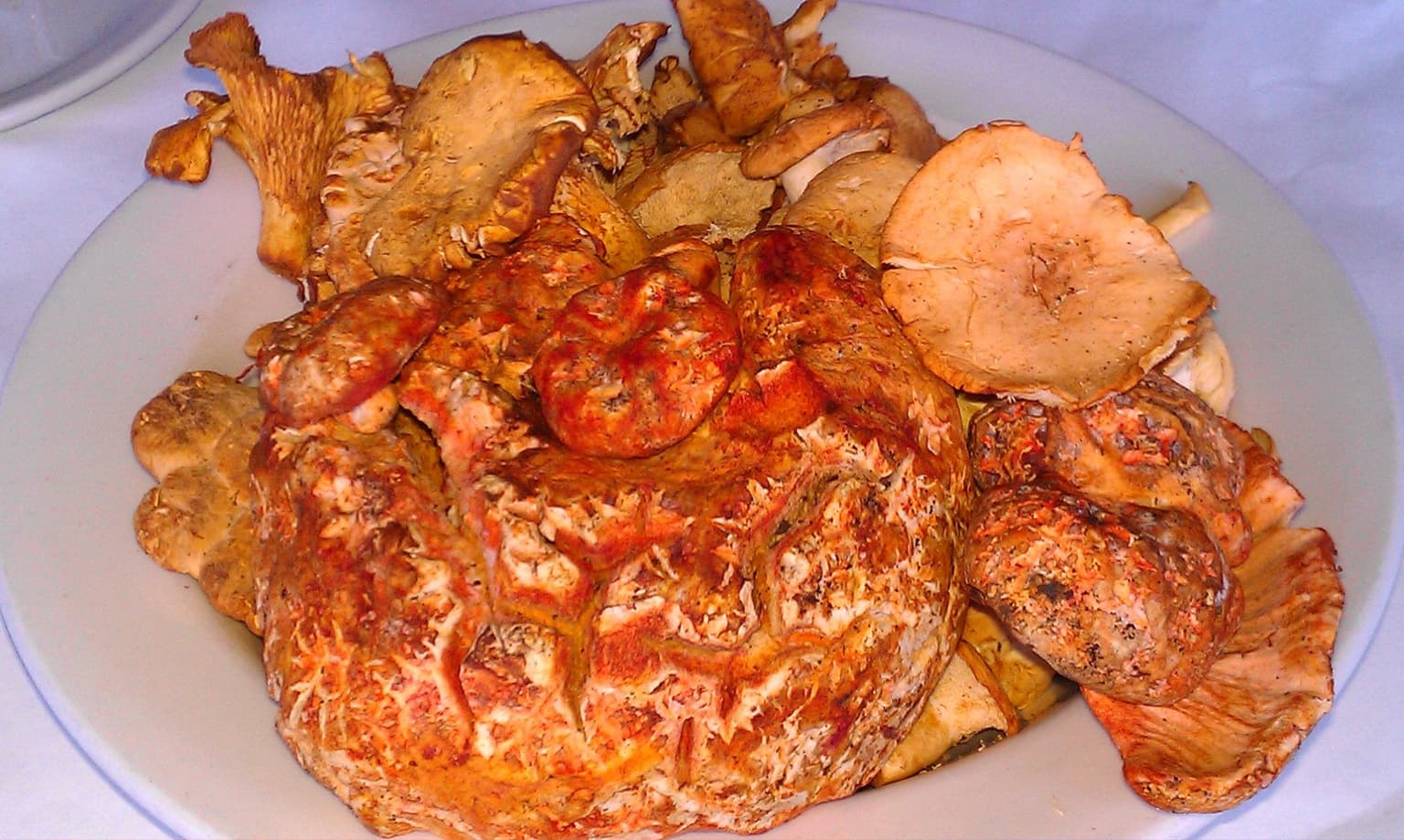 3d566c58-0aba-4586-89af-e6c03c09f95b