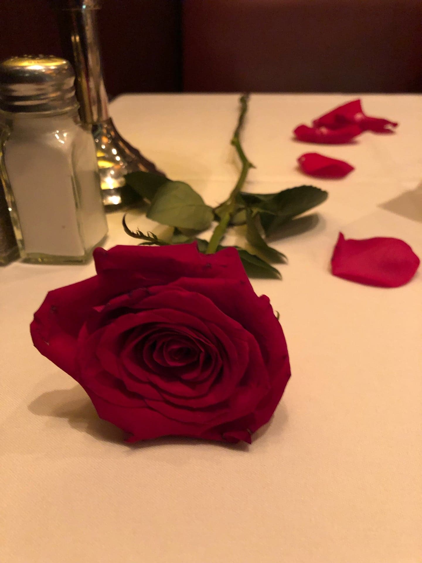 eeebef11-27a5-4dd6-a159-4cfec1f29046