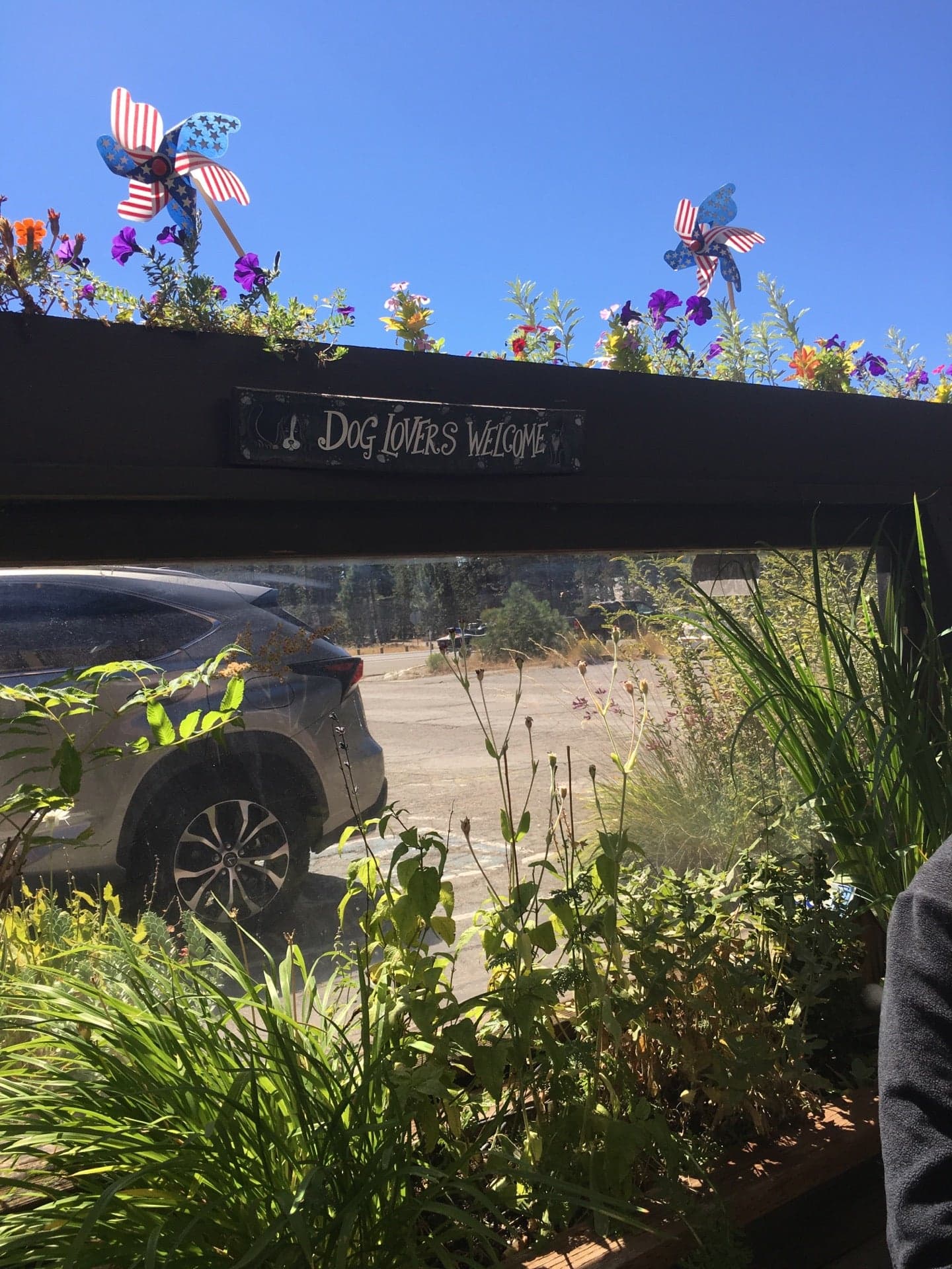 d9897a4a-bc24-4d32-949d-102196a32f03