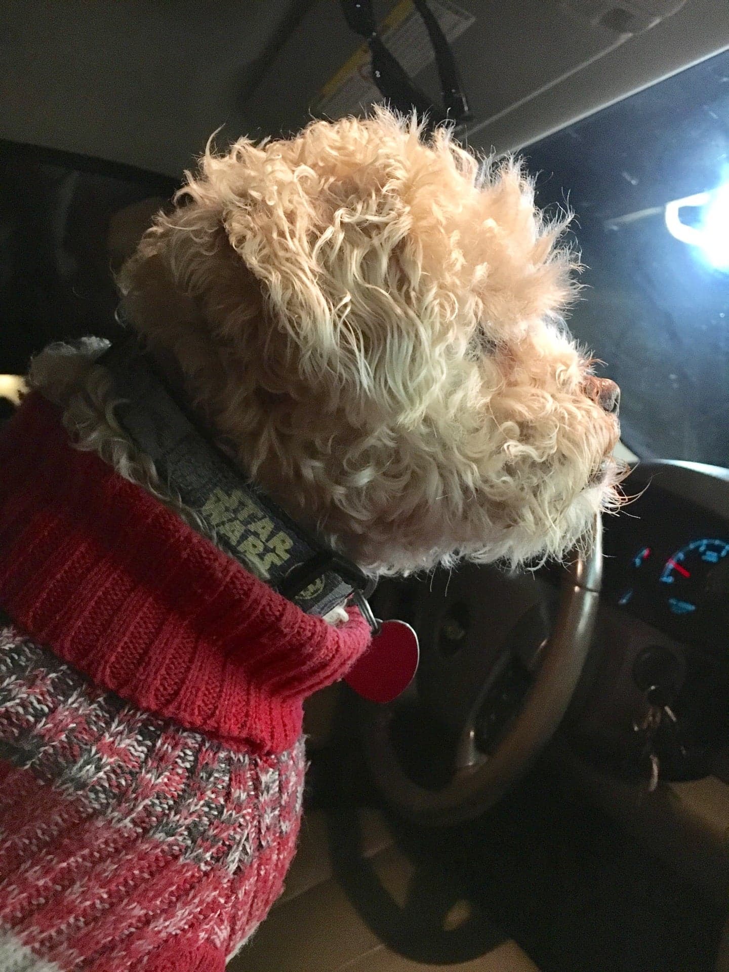 5f1f5adc-2a9e-4dfc-a189-4232036e2290