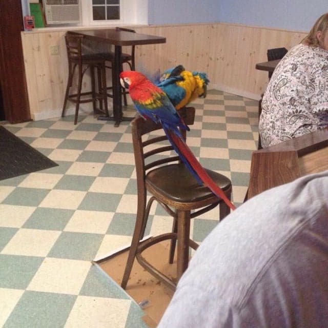 89eb03d7-fd2d-4f53-911e-5cca069a7bdb