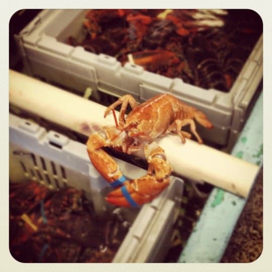 47642206-438d-46a9-b490-e81847ca28d0