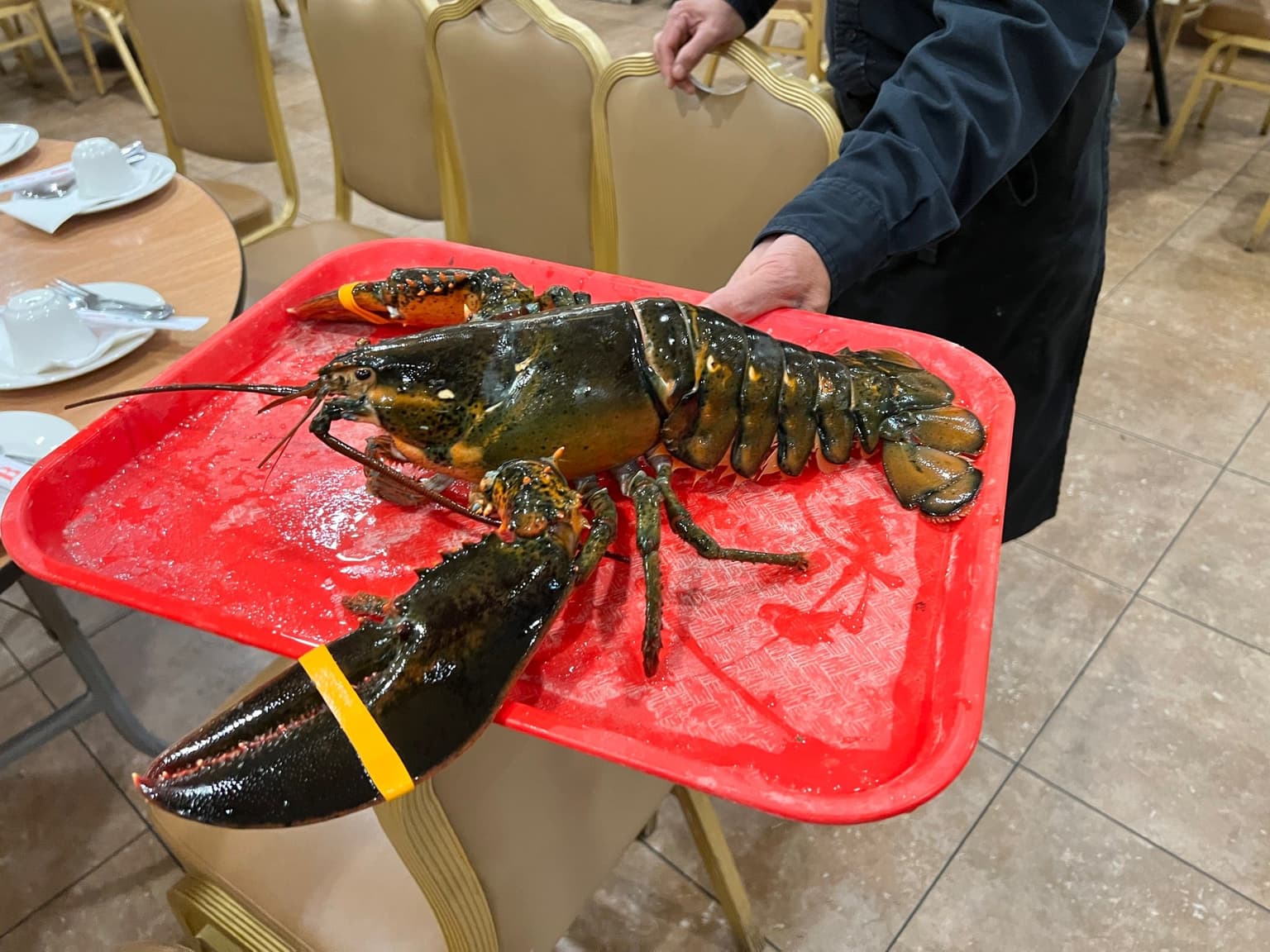 7b49a3a6-0a8d-47ce-b6dc-38bcc5e5a97f