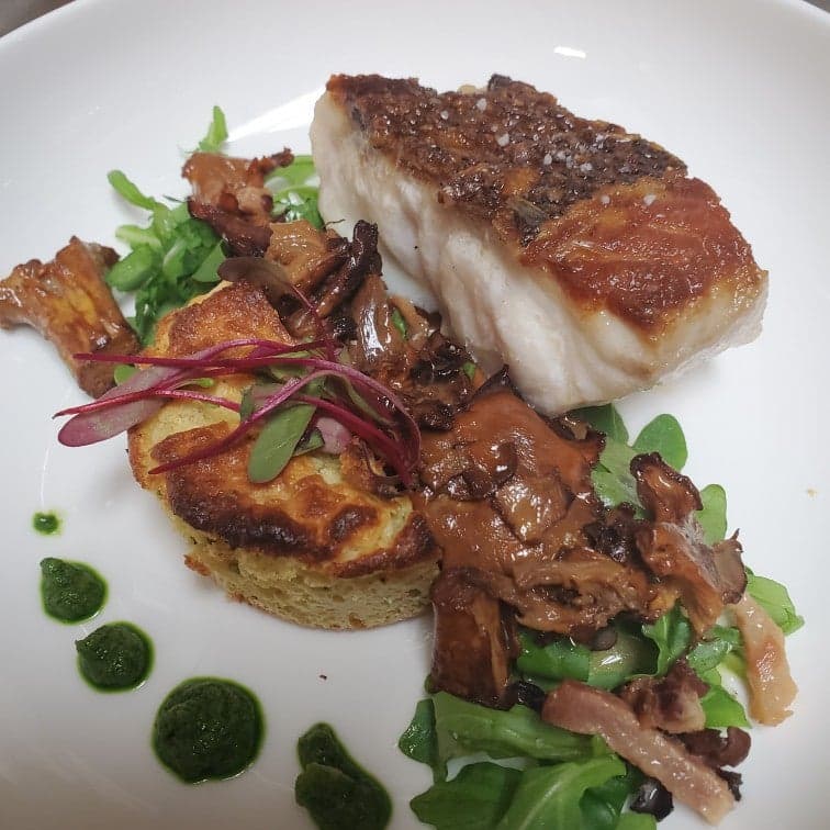 1878872f-655d-47ea-af89-8d542928c966