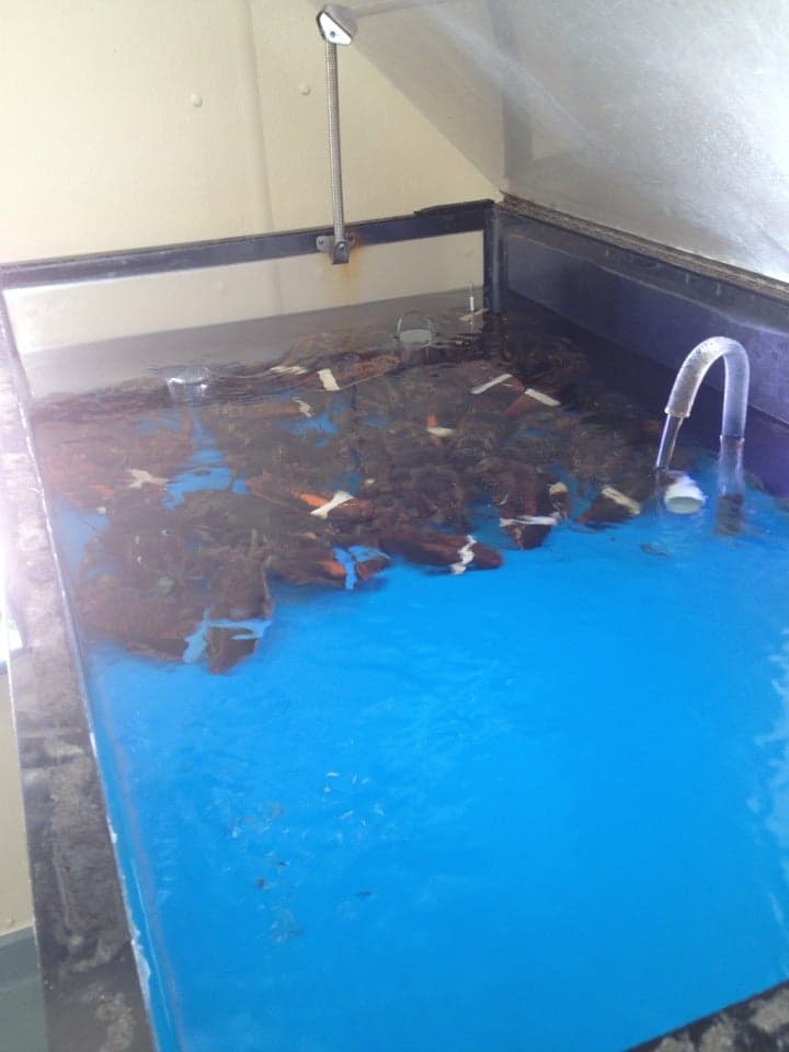 365bb1c5-8751-46f7-8f5b-e17f004e633d