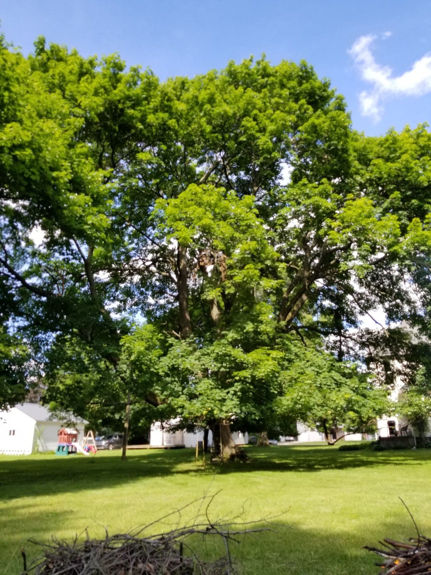 b9030a1c-e838-49bc-a025-9285ca49d54b