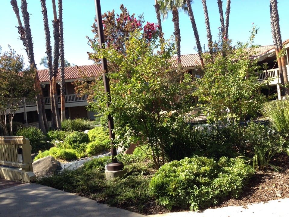 bc65bea9-bb2d-4e84-a88d-a6e7a1e37789