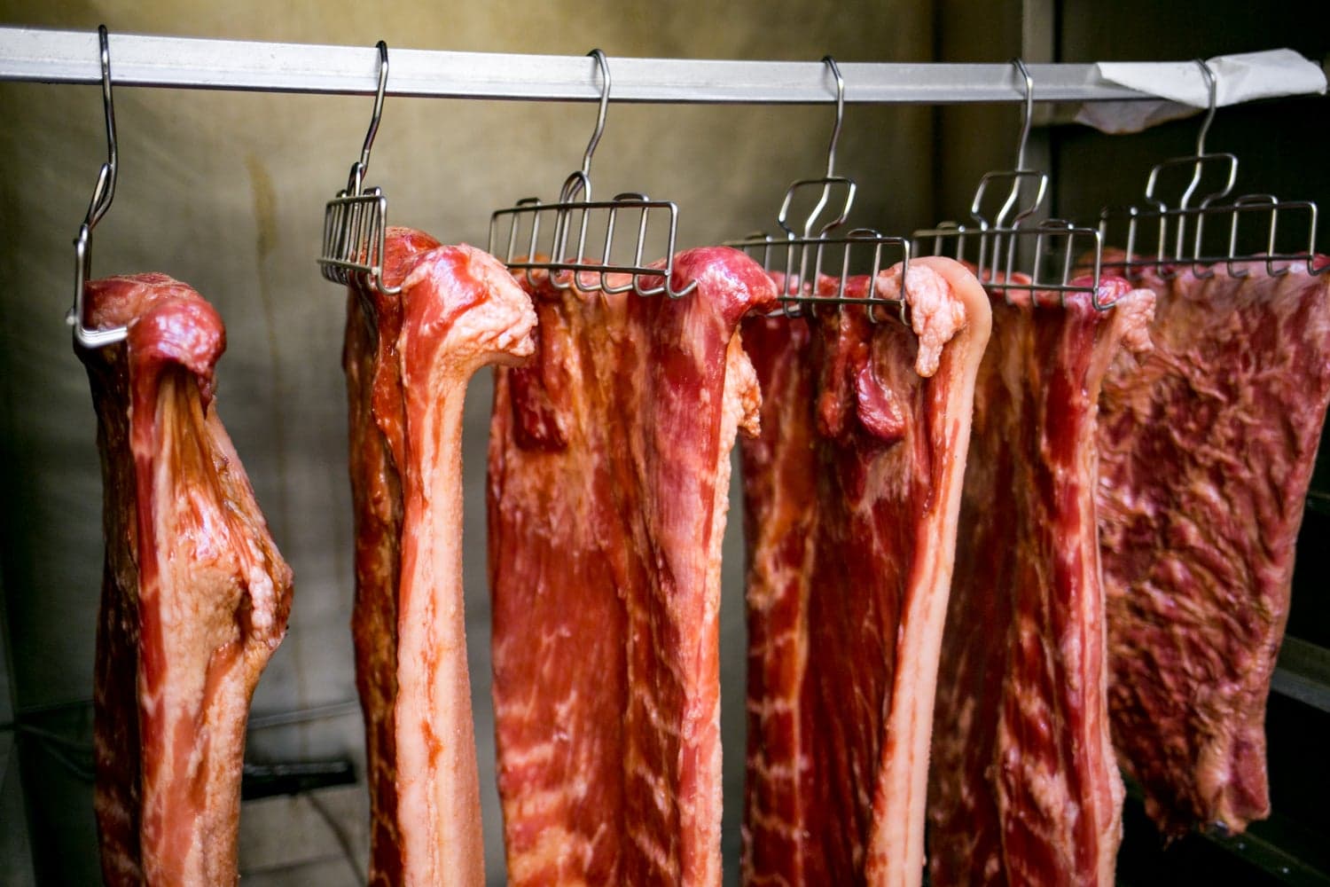 aa03fa81-16c1-4d73-a3ee-8e9d2c0d72ce