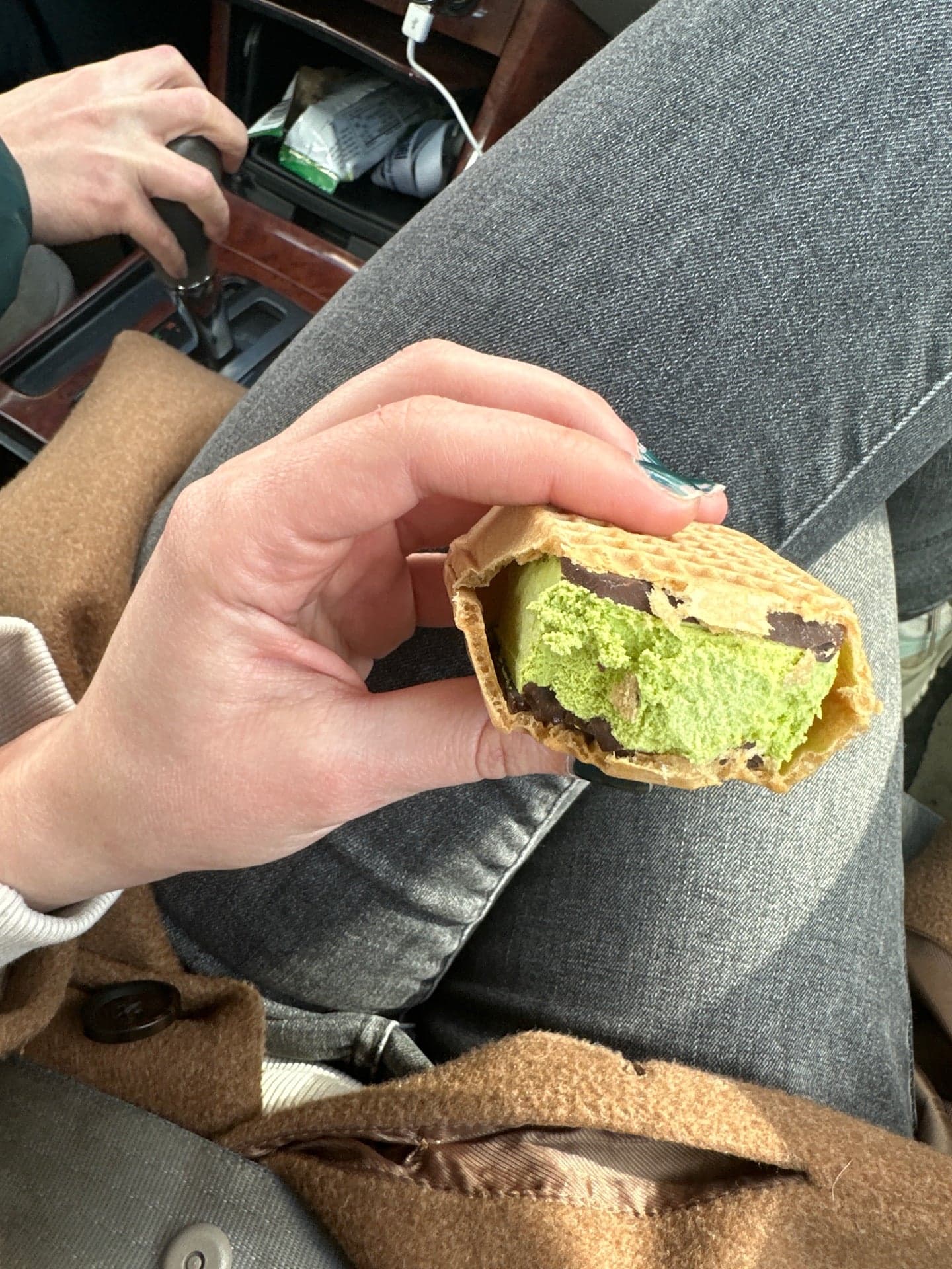 d97b2fae-6cf8-4e24-8288-c2d909f57333