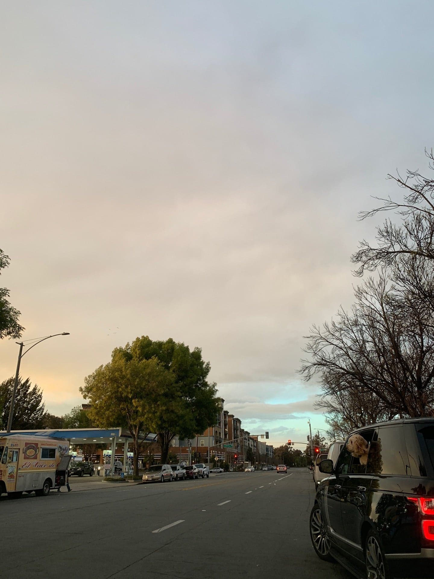 87a774b7-f109-4677-89e7-df53a81d4ea3