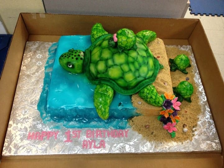 4afc27a8-c03b-4e47-981a-c8e91334909c