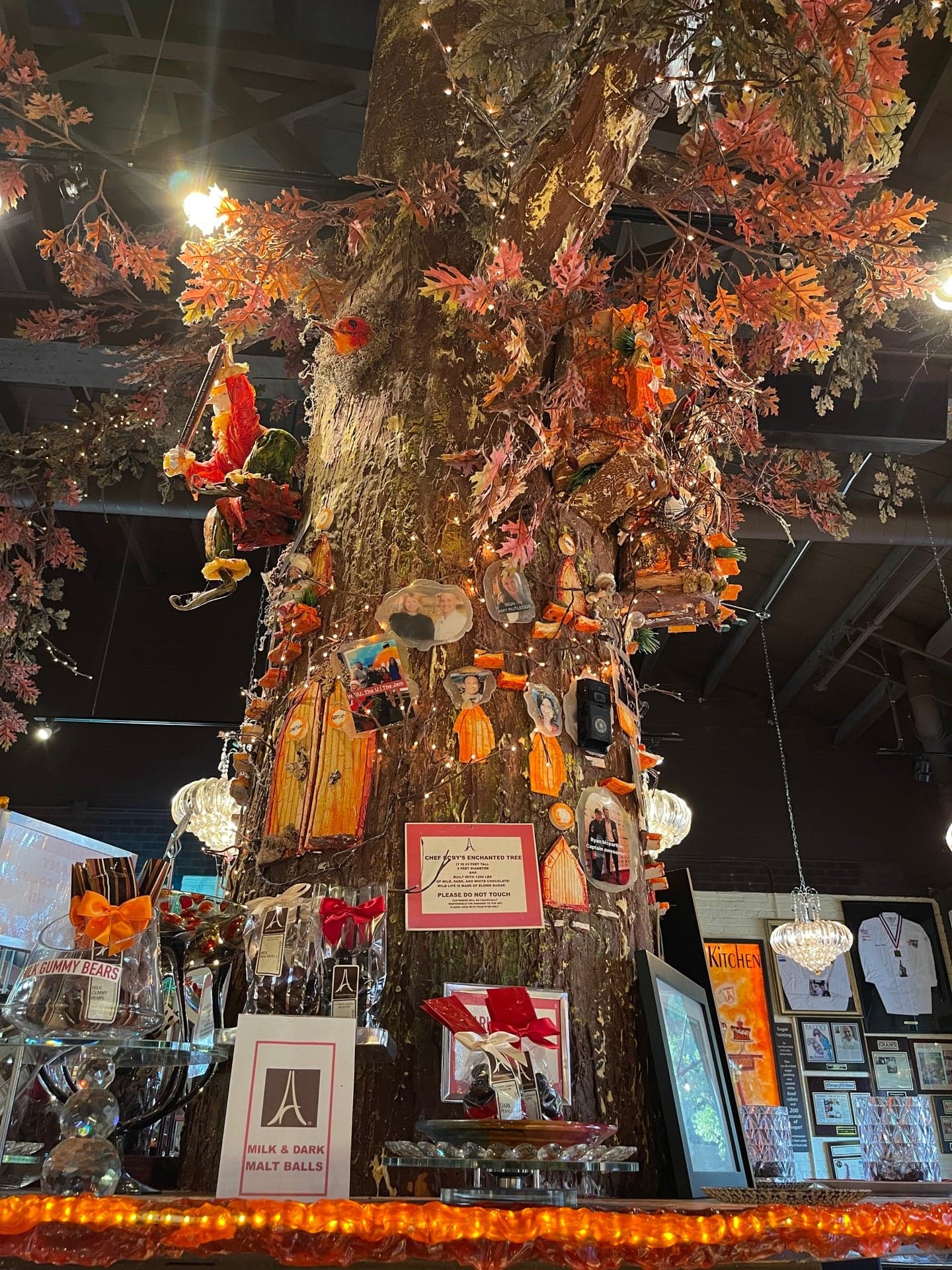 506a227b-38a3-404e-ad3e-dbb4b9324d22