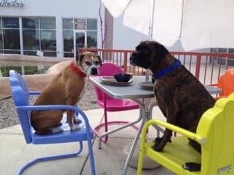 c3a11d59-1cb4-4f10-94df-62c3145f1430