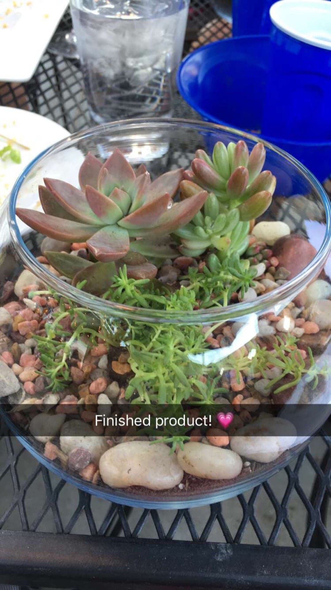 e73be73e-6511-40b2-95b6-7e0ba3d43324