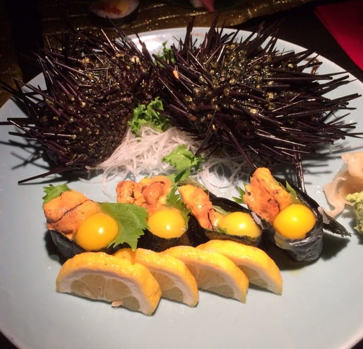 c0047564-063f-463a-8b2f-b27ef238a4a4