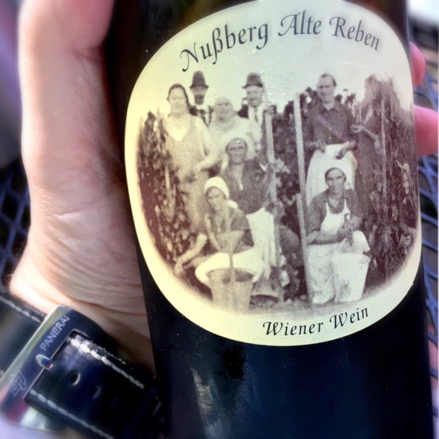 1f79ffb6-256f-4d87-bfa5-1e4a18bca8ea