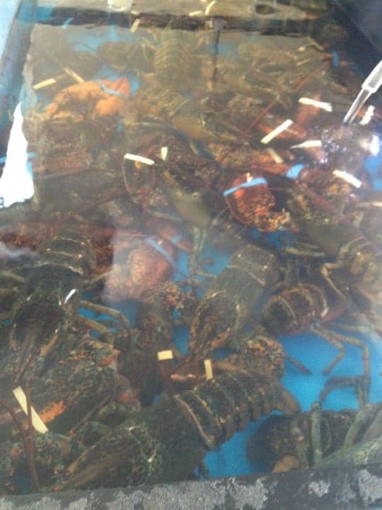 16300e81-dcac-4869-abfb-02348e32f85a