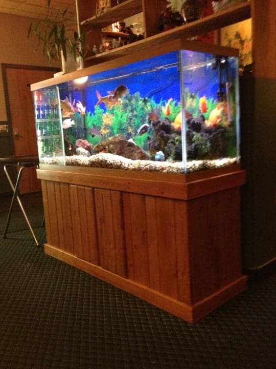 9cabea60-4741-451e-b904-b9de96fe826c