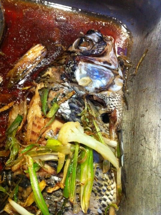 199fe04c-76f8-40f7-a942-3327cbeab434