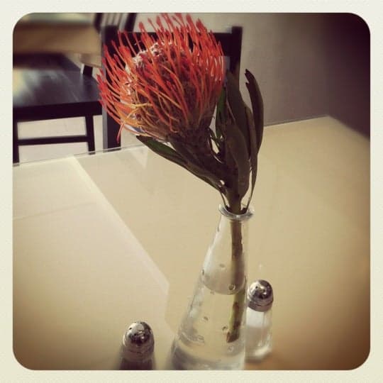 d1e2d684-6a15-43ac-9257-a53c8de137d2