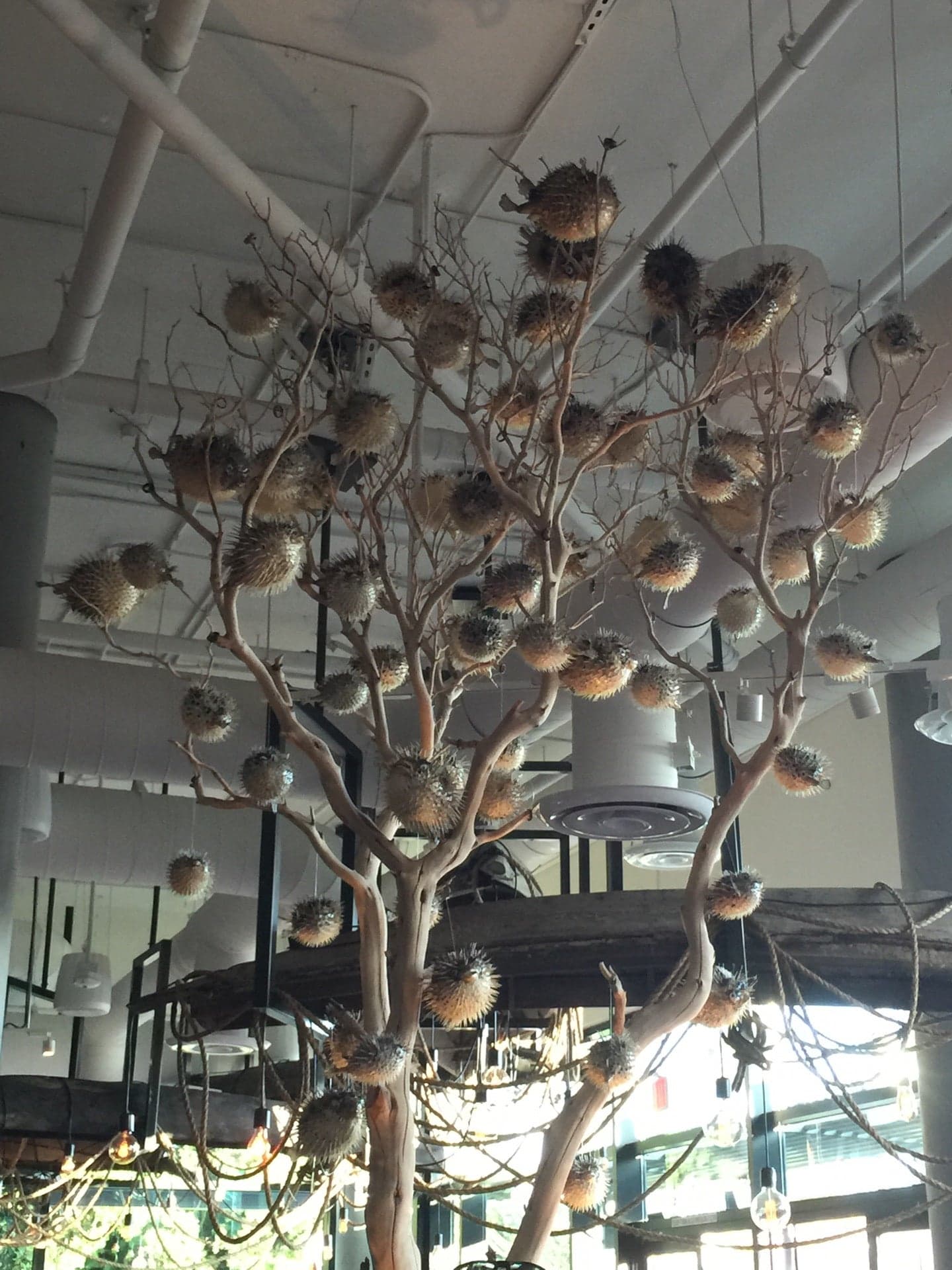 74878eb9-959e-4207-a356-dd094b7b06e7