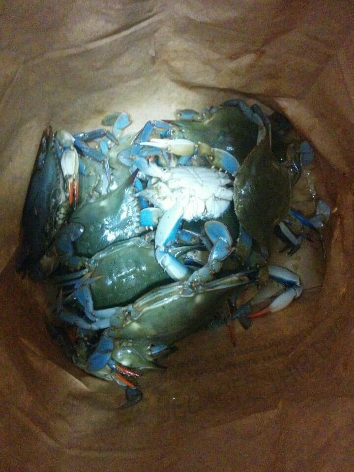 8d6a41a1-8bed-4276-9494-fbddc0c370ef