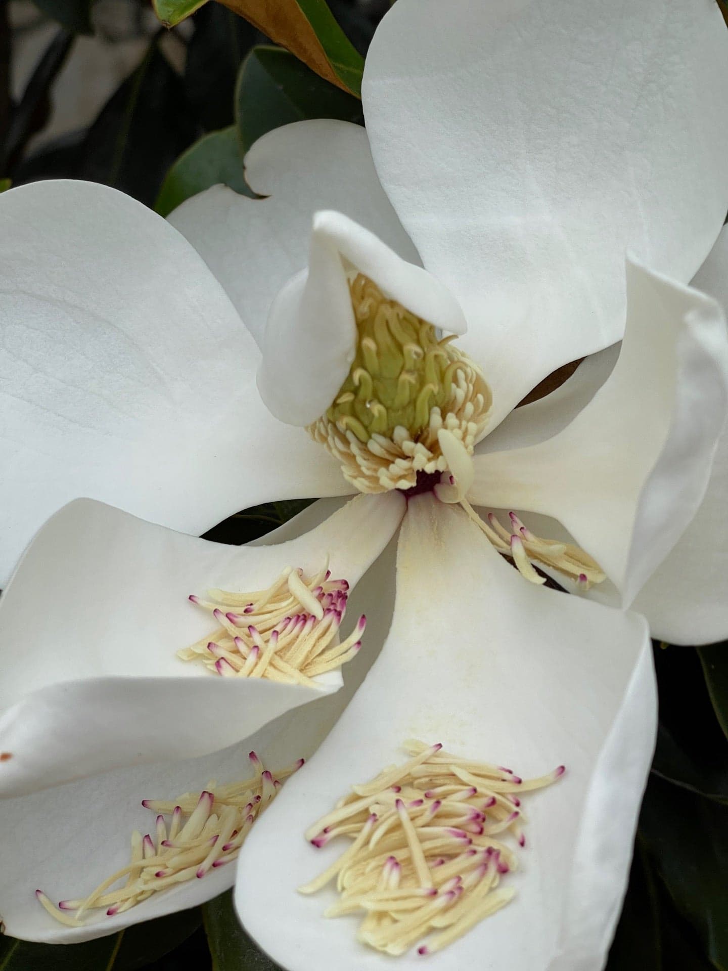 5134b107-b4a8-4c11-bdcc-b71951f592aa