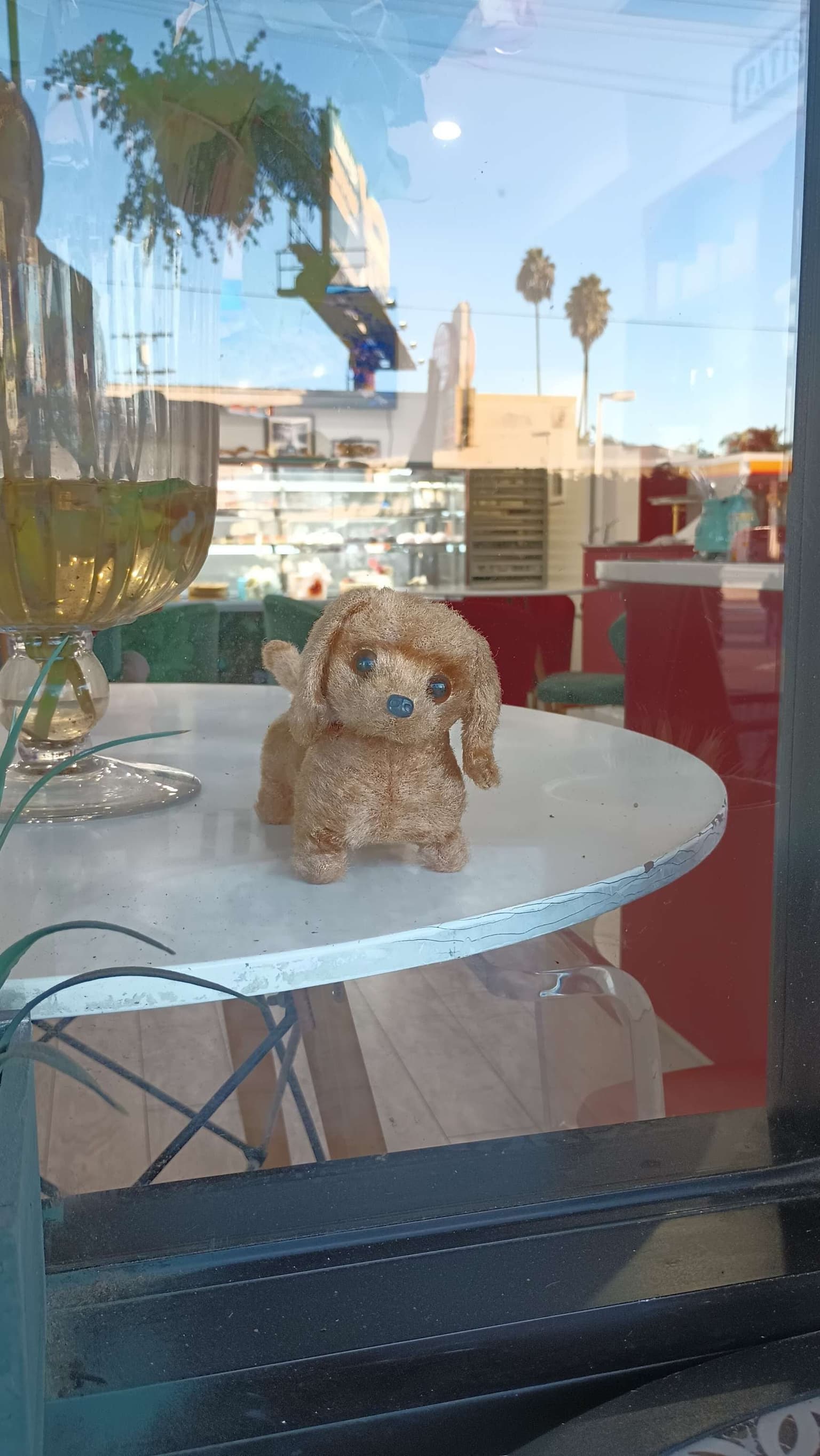 6ece6e30-759f-423f-8513-f543a8d2a4c1