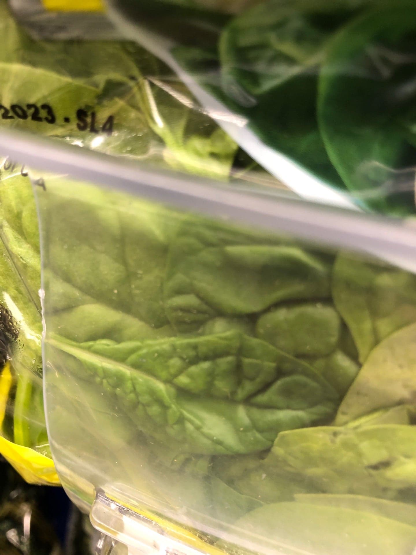 cd7b5ef7-f806-4262-b19d-84138b365754