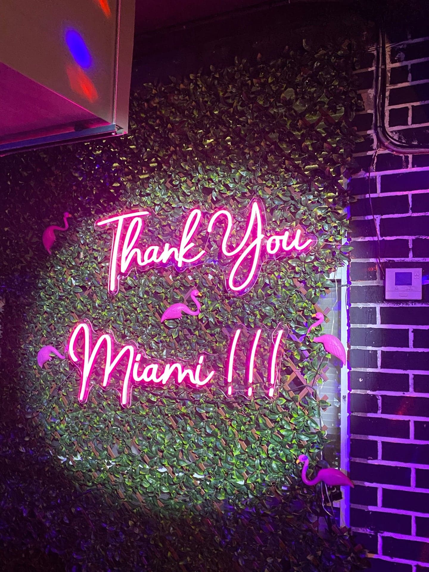 2d933142-b454-4587-a1e2-b8a8f1b24bda