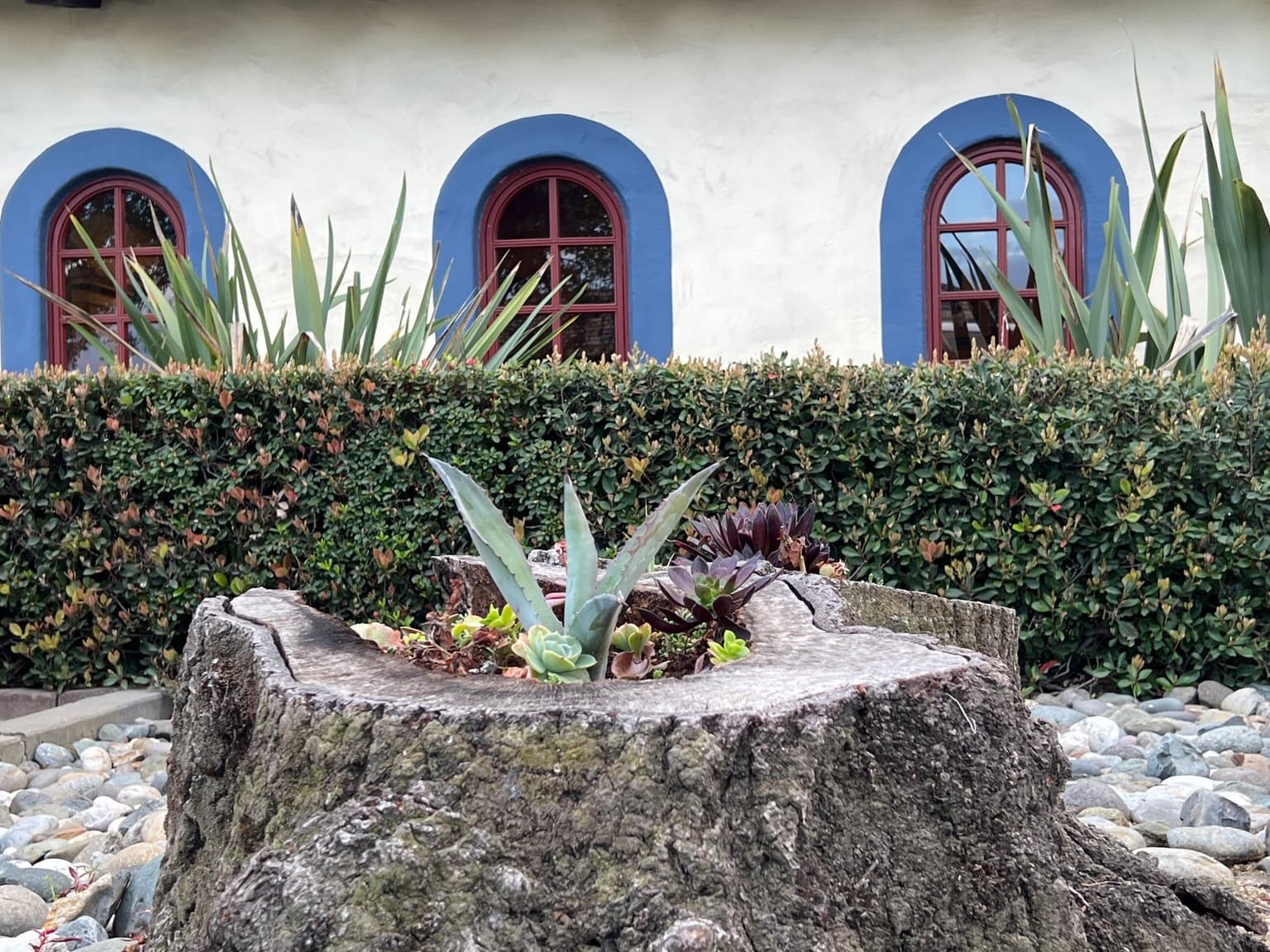 fa354365-72b9-49ad-8564-8ff9eae973cc