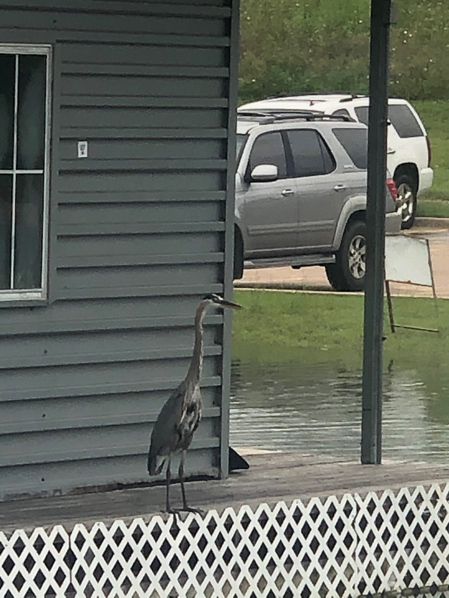 86e0d172-b43d-48af-a4a8-2ec2425d7a7c