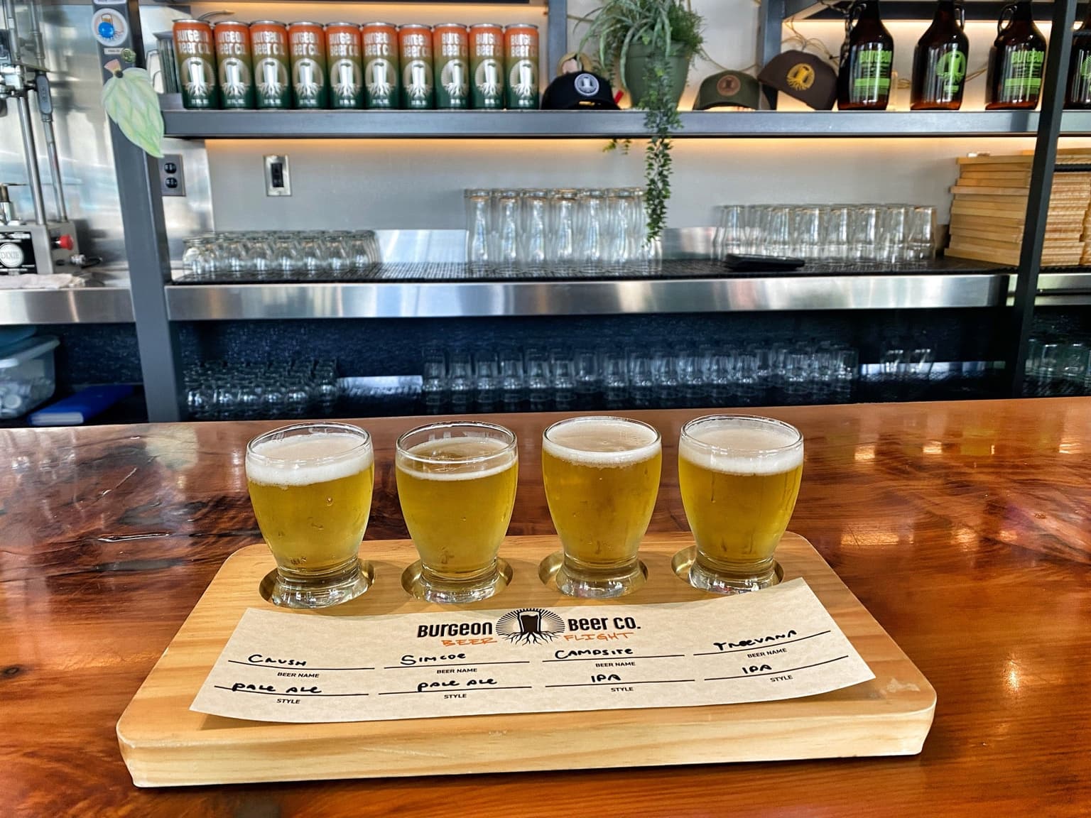 c6fc9efd-8a23-406f-9d6f-c7fea565918b