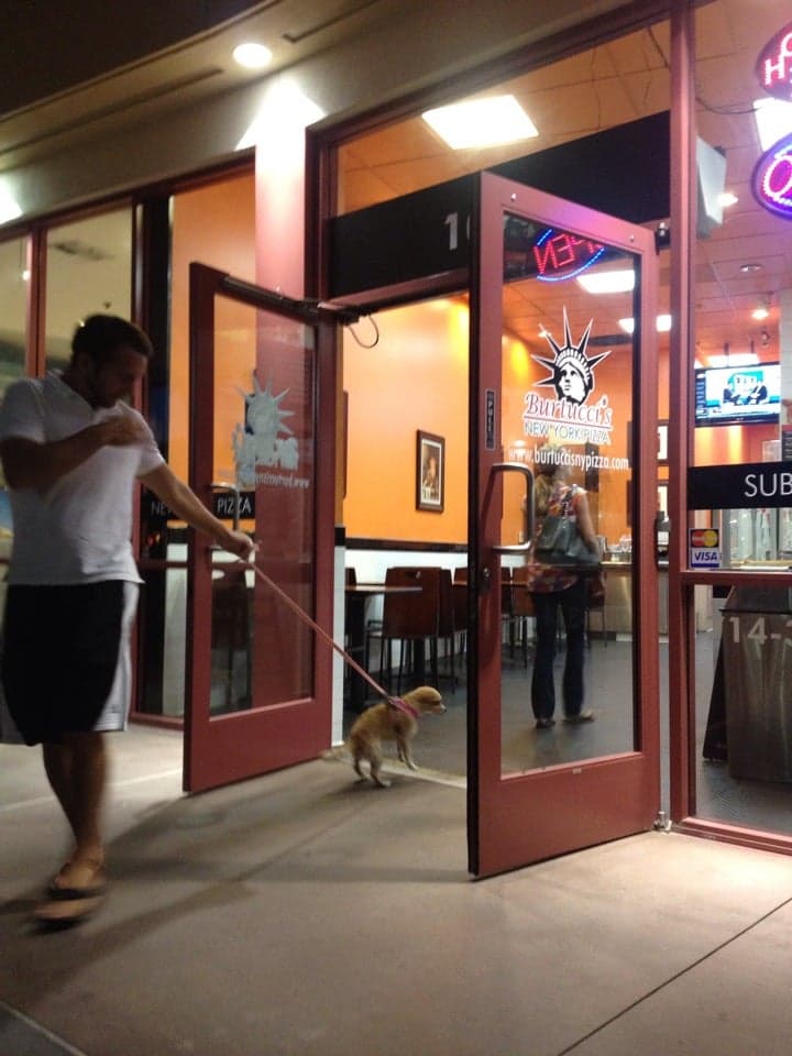 c957d8e4-6387-4c55-8625-14837ca210e3