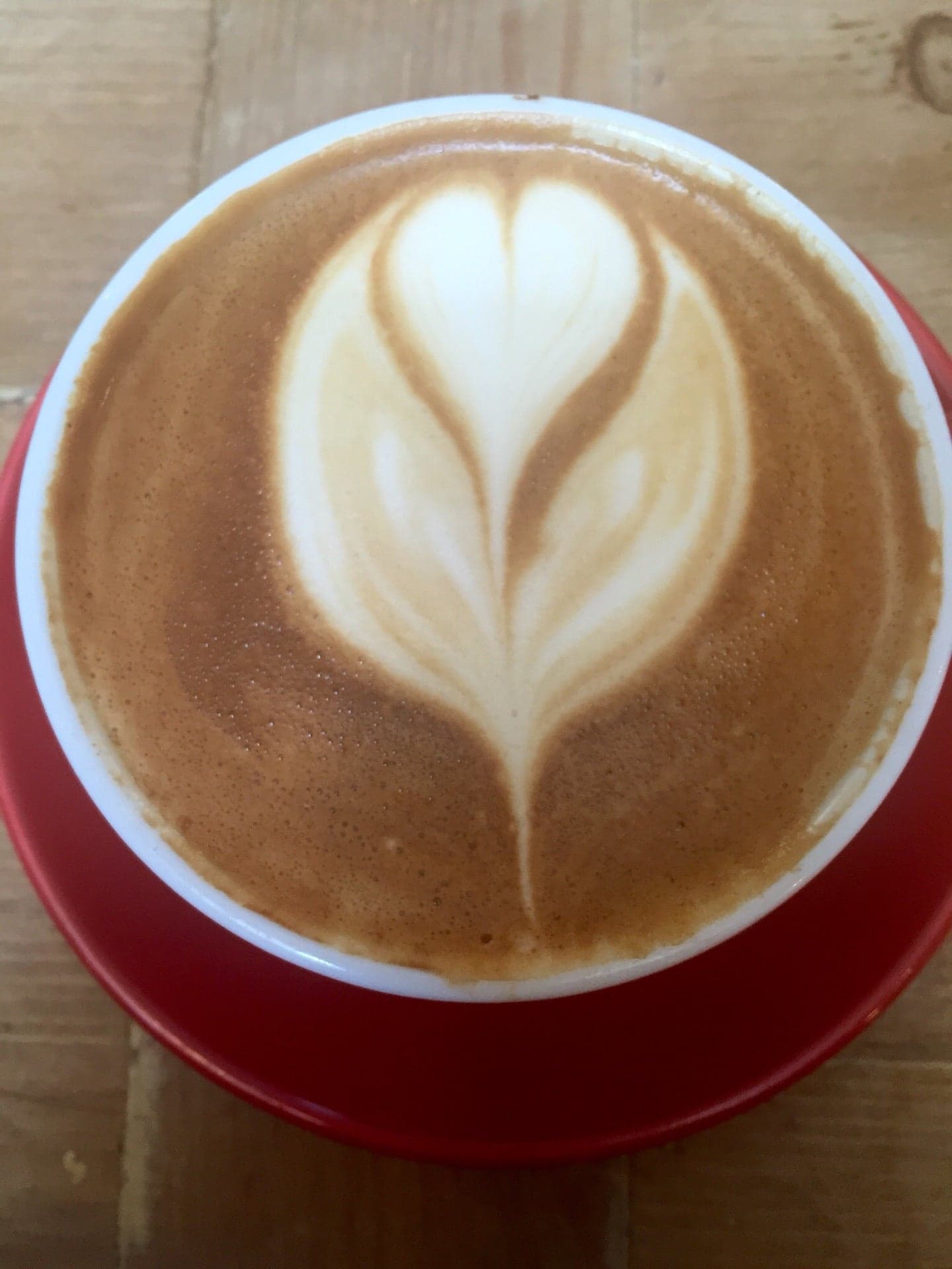 2ece9345-bade-4951-81e1-6d0b492115fc