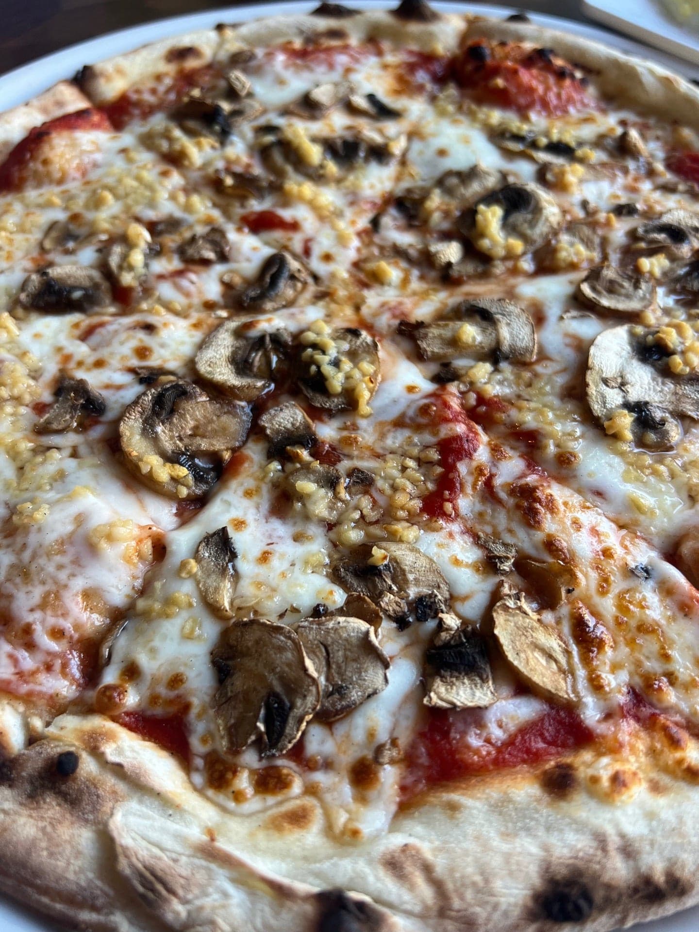 2c61e27e-9d00-480e-8713-99005c992ad6