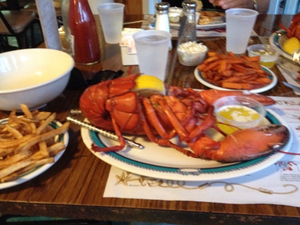 046e899c-135e-4fdd-87e7-97a41cd72100