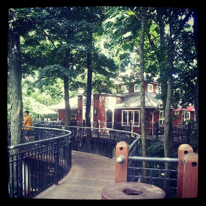 6aa61444-0fe2-4ea4-a7ab-7eb95568ce9c