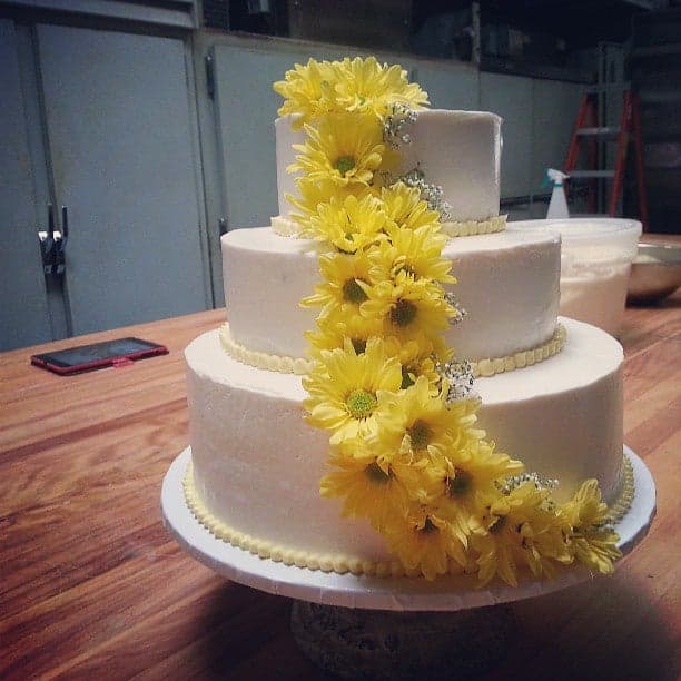 d1f9b5e5-309b-4934-aa59-b7fcc9fd8d87