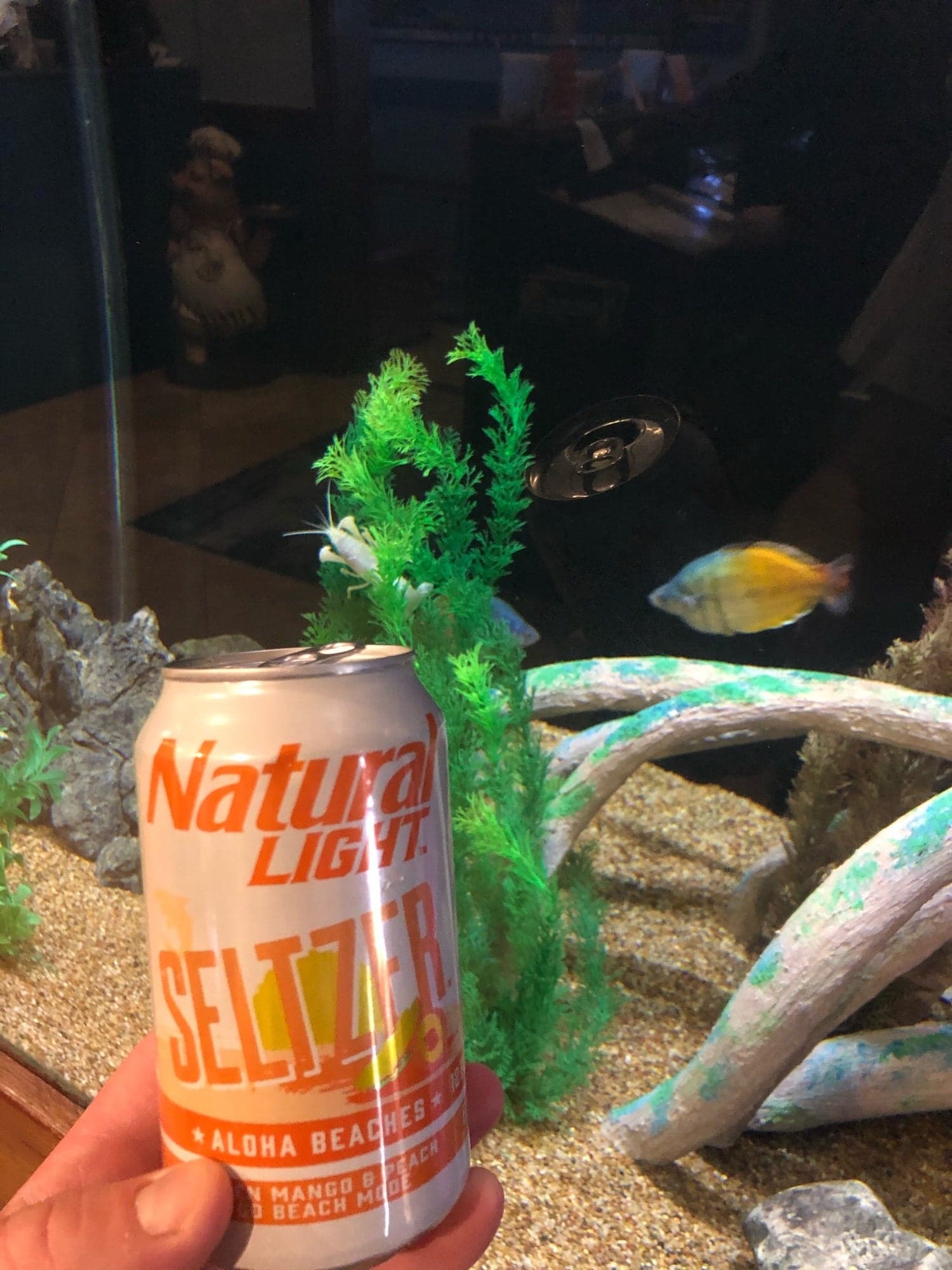 628517b8-0a06-43d2-96b8-29846e5a97ea