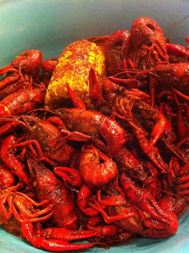 a531e457-0691-4373-a14c-9b5d351c992e